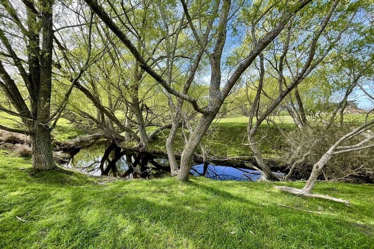 Photo of property in 88 Maytown Road, Waimate, 7978