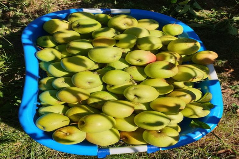 Photo of property in 21 Farmer Road, Waitoa, 3310