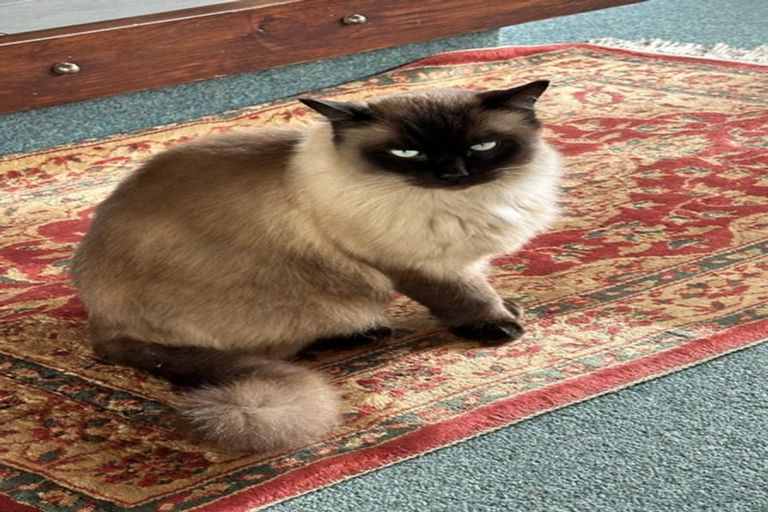 Photo of property in 6a Beach Road, Waikawa, Picton, 7220