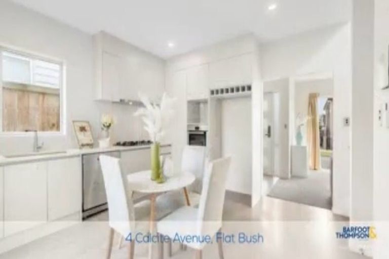 Photo of property in 4 Calcite Avenue, Flat Bush, Auckland, 2019