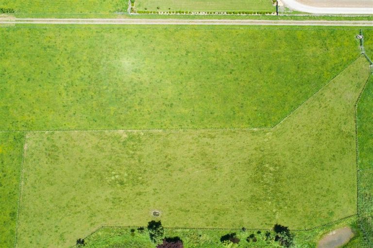 Photo of property in 81 Pukepapa Road, Marton, 4710