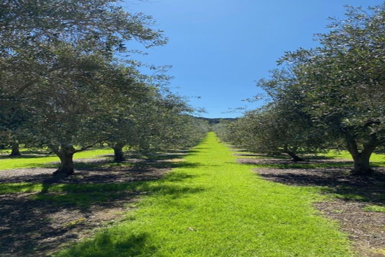 Photo of property in 478 Hihi Road, Hihi, Mangonui, 0494