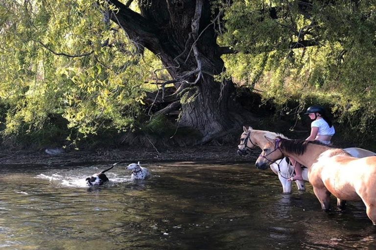 Photo of property in 745 Ardgour Valley Road, Tarras, Cromwell, 9383