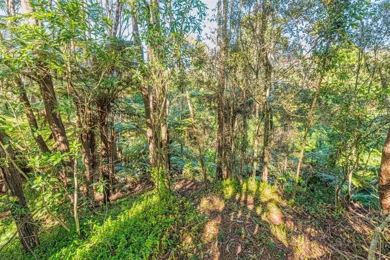 Photo of property in 29 Alidade Place, Massey, Auckland, 0614