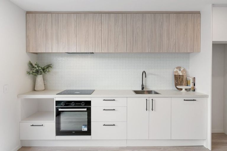 Photo of property in 1/4 Green Street, Mosgiel, 9024