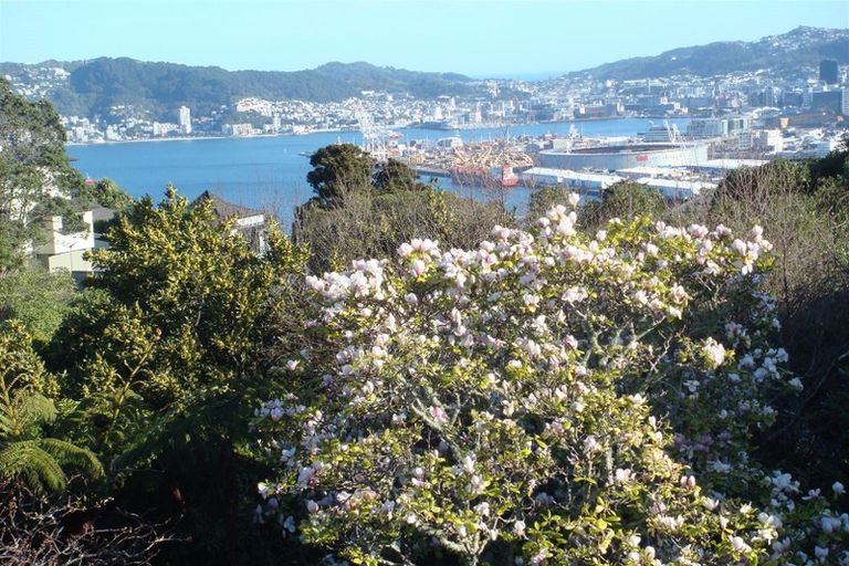 Photo of property in 14 Tensing Place, Khandallah, Wellington, 6035