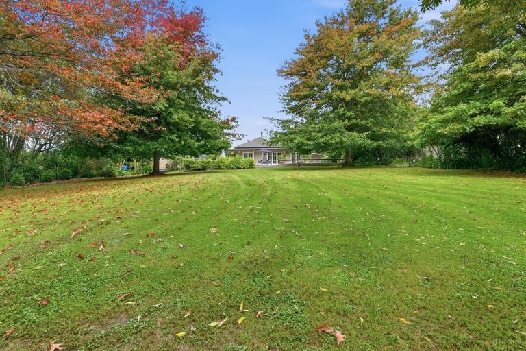 Photo of property in 82 Pye Road, Geraldine Downs, Geraldine, 7991