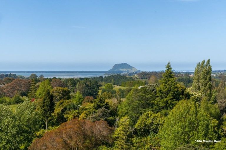 Photo of property in 140a Minden Road, Minden, Tauranga, 3176