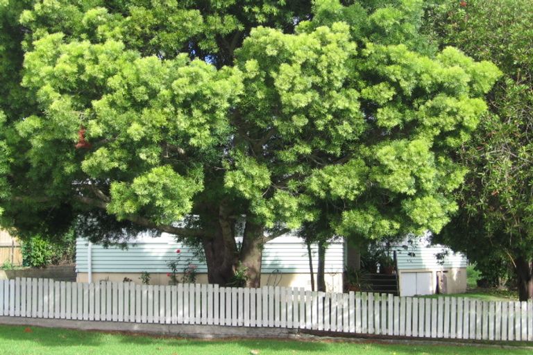 Photo of property in 26 Harrington Road, Henderson, Auckland, 0610