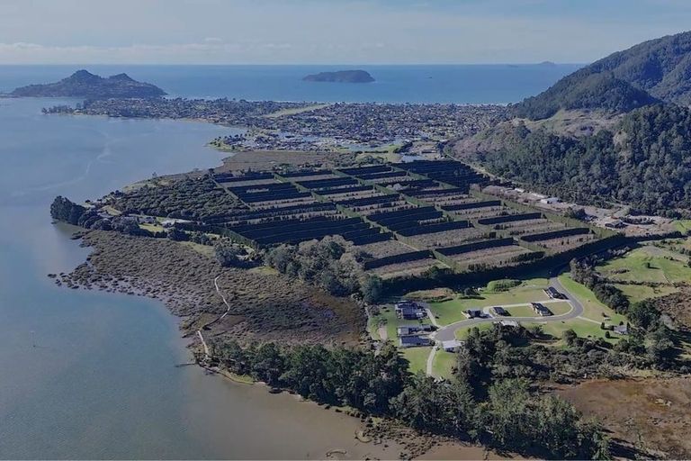 Photo of property in 5 Pinnacles Lane, Pauanui, 3579