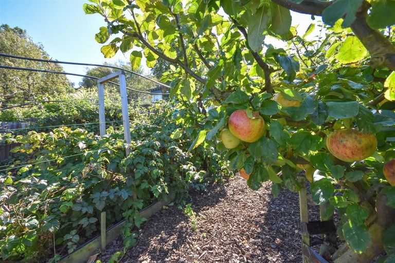 Photo of property in 55 Rawhiti Street, Musselburgh, Dunedin, 9013