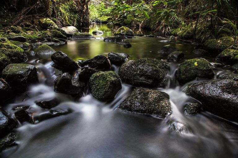 Photo of property in 122 Lone Kauri Road, Karekare, New Lynn, 0772