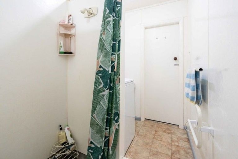 Photo of property in 41a Garfield Avenue, Roslyn, Dunedin, 9010