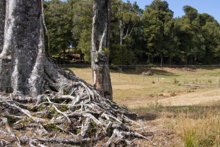 Photo of property in 1046 Work Road, Whakamarama, 3181