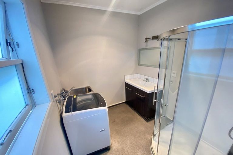 Photo of property in 119 Hanson Street, Newtown, Wellington, 6021