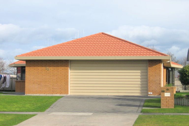 Photo of property in 73 Endeavour Avenue, Flagstaff, Hamilton, 3210