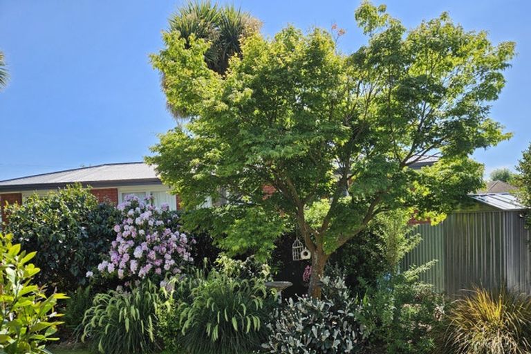 Photo of property in 7 Point Bush Road, Waimate, 7924