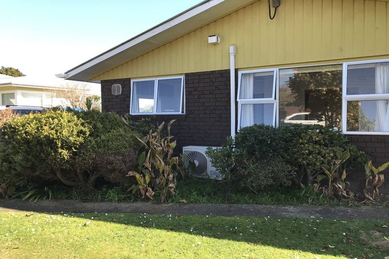 Photo of property in 77 Bartholomew Road, Levin, 5510