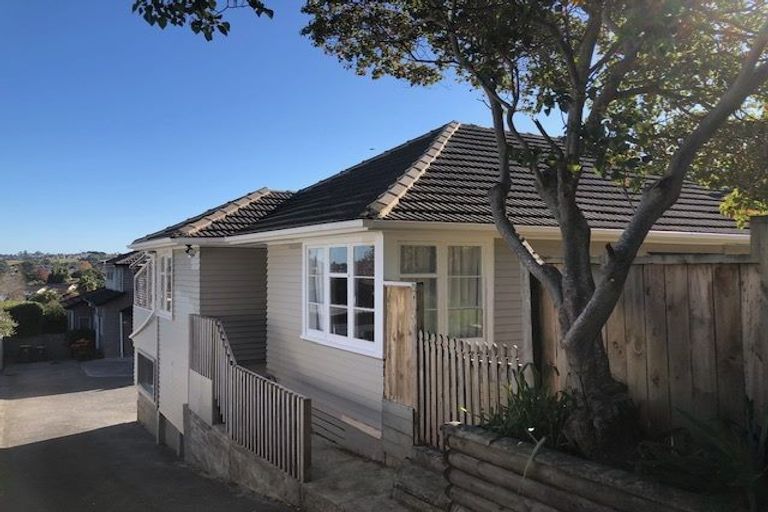 Photo of property in 25 William Souter Street, Forrest Hill, Auckland, 0620