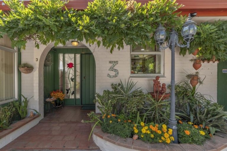 Photo of property in 3 Twelfth Avenue, Tauranga South, Tauranga, 3112