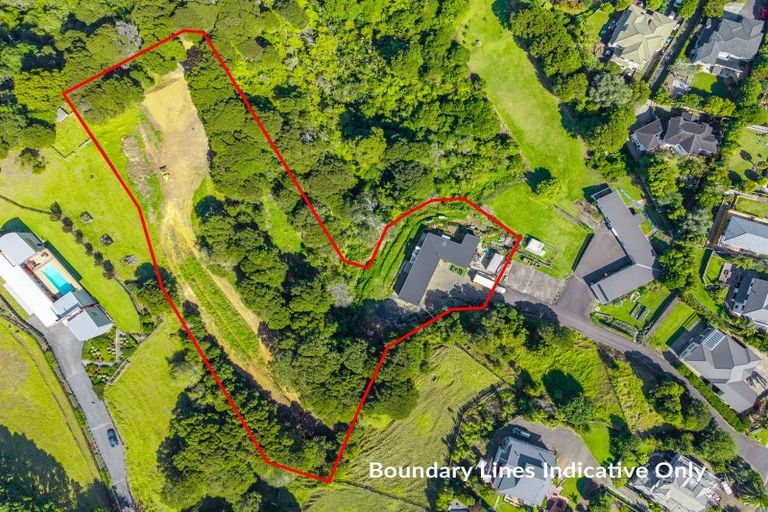 Photo of property in 56 Somerville Road, Shelly Park, Auckland, 2014