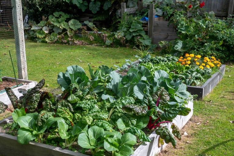 Photo of property in 117 State Highway 33, Tikitere, Rotorua, 3074