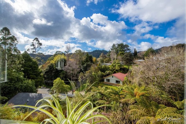 Photo of property in 36 Wyndham Road, Pinehaven, Upper Hutt, 5019