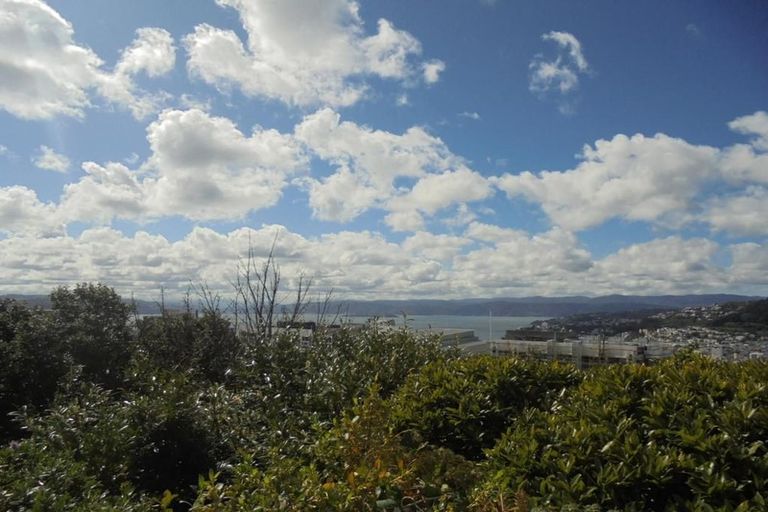 Photo of property in 4 Springfield Terrace, Kelburn, Wellington, 6012