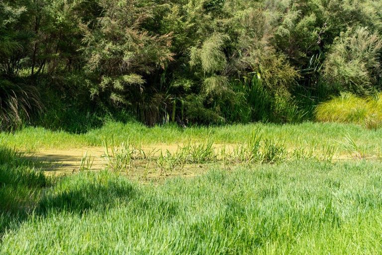 Photo of property in 149 Whaka Street, Maungaturoto, 0583