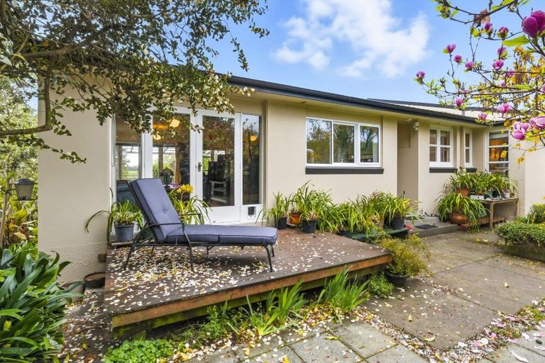 Photo of property in 79 Kawiu Road, Levin, 5510