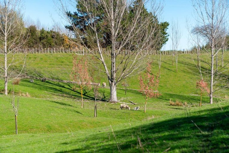 Photo of property in 275 Admiral Road, Admiral Hill, Gladstone, 5883