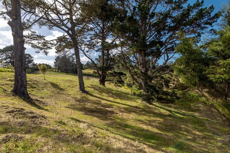 Photo of property in 15 Elmore Road, Paremoremo, Auckland, 0793