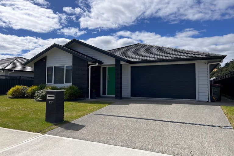 Photo of property in 107 Mawai Hakona Drive, Wallaceville, Upper Hutt, 5018