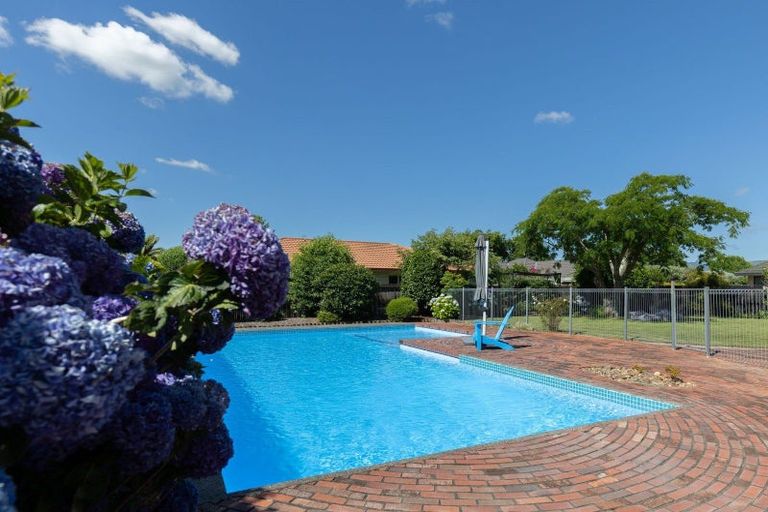 Photo of property in 8 Raupo Place, Matamata, 3400