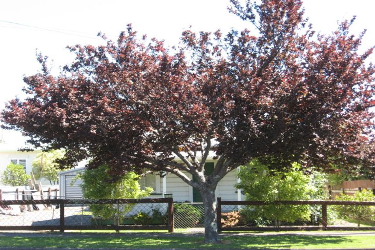 Photo of property in 21 Cobden Street, Gisborne, 4010