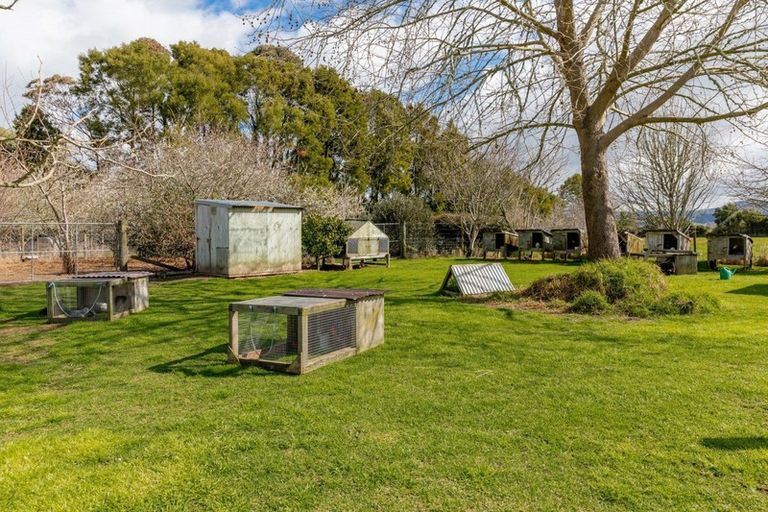 Photo of property in 97f Poplar Lane, Edgecumbe, Whakatane, 3192