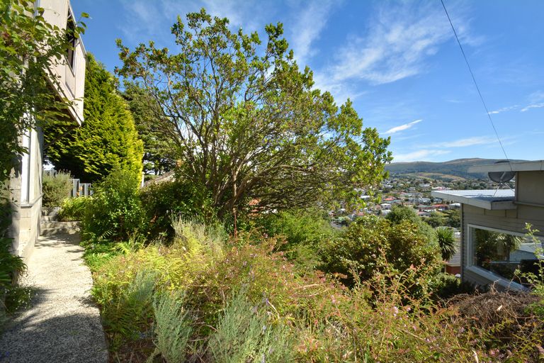 Photo of property in 414 Stuart Street, Kaikorai, Dunedin, 9010