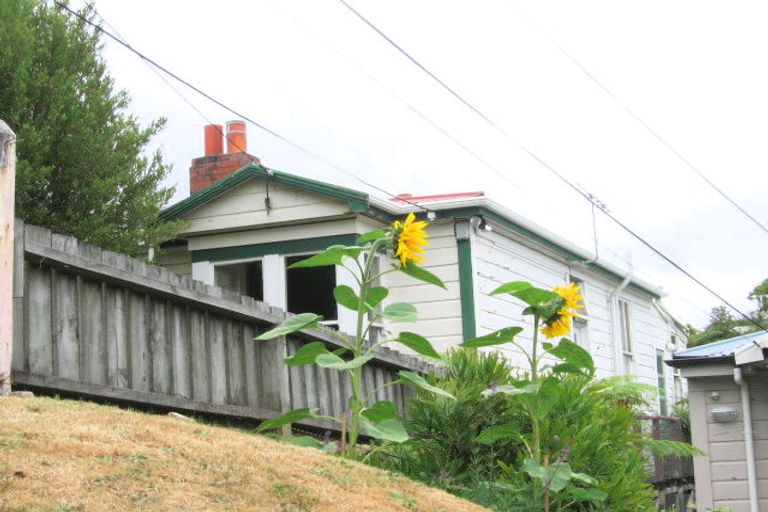 Photo of property in 36 Duppa Street, Berhampore, Wellington, 6023