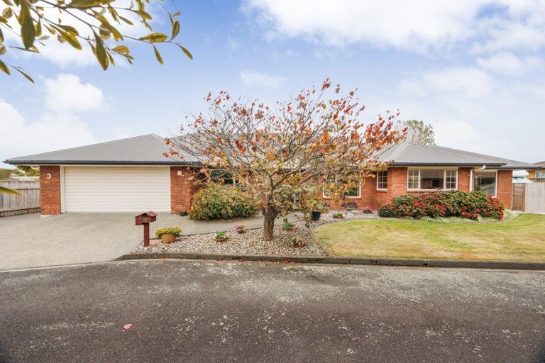 Photo of property in 3 Craig Court, Feilding, 4702