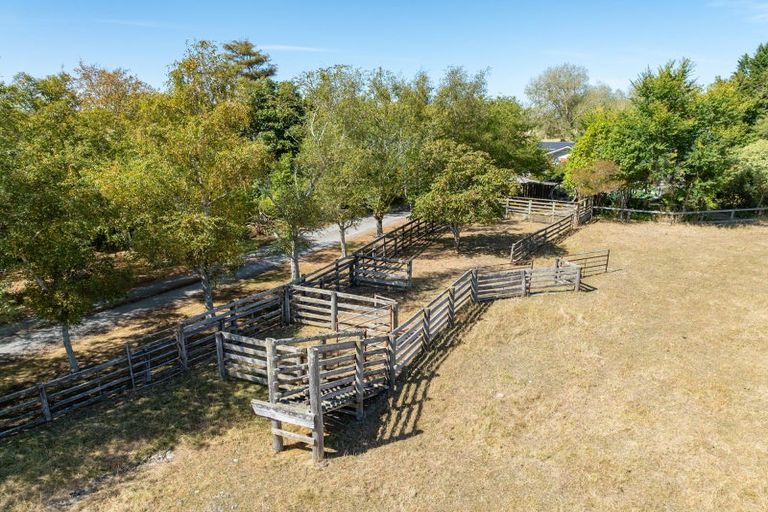 Photo of property in 203 West Bush Road, Upper Plain, Masterton, 5888