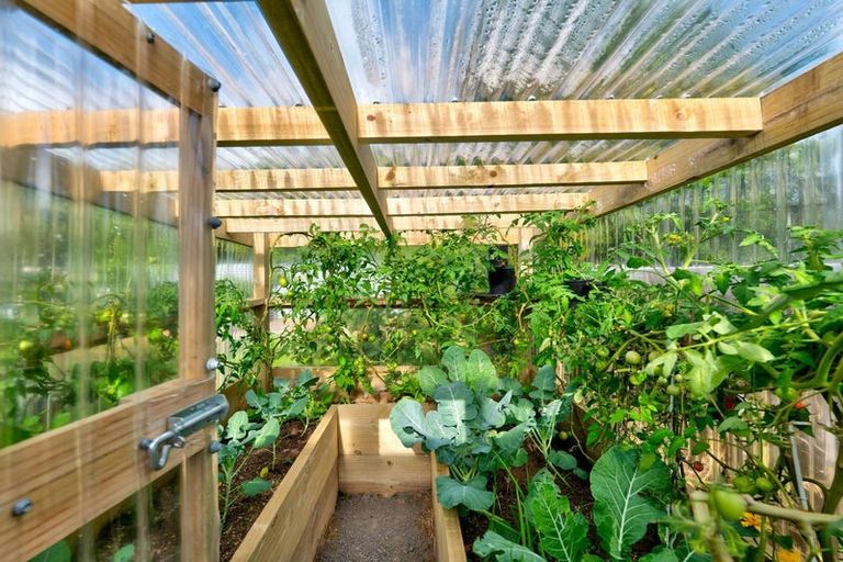 Photo of property in 16 Ponderosa Place, Opunake, 4616