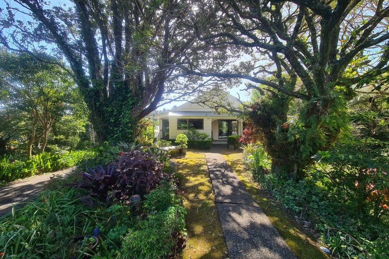 Photo of property in 195 Driving Creek Road, Coromandel, 3506