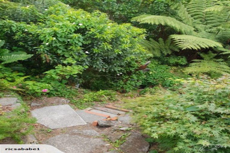 Photo of property in 22 Plunket Street, Durie Hill, Whanganui, 4500