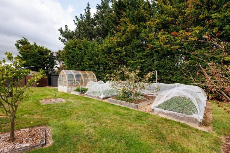 Photo of property in 39 Branksome Place, Aokautere, Palmerston North, 4471