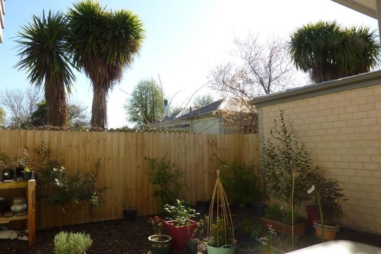 Photo of property in 26b Burke Street, Addington, Christchurch, 8024