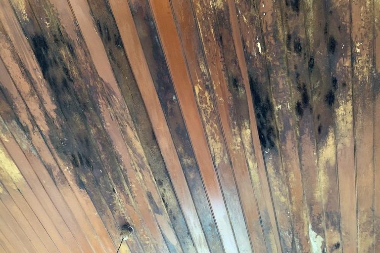 Photo of property in 130 Bann Street, Bluff, 9814