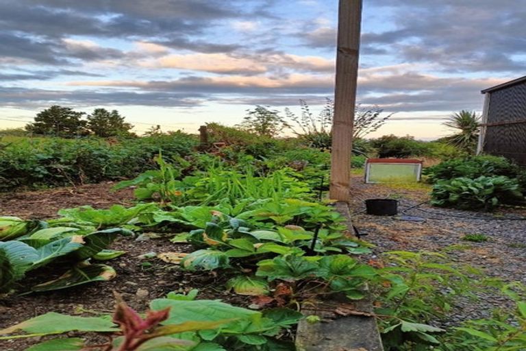 Photo of property in 12 Princes Street, Waikino, Waihi, 3682