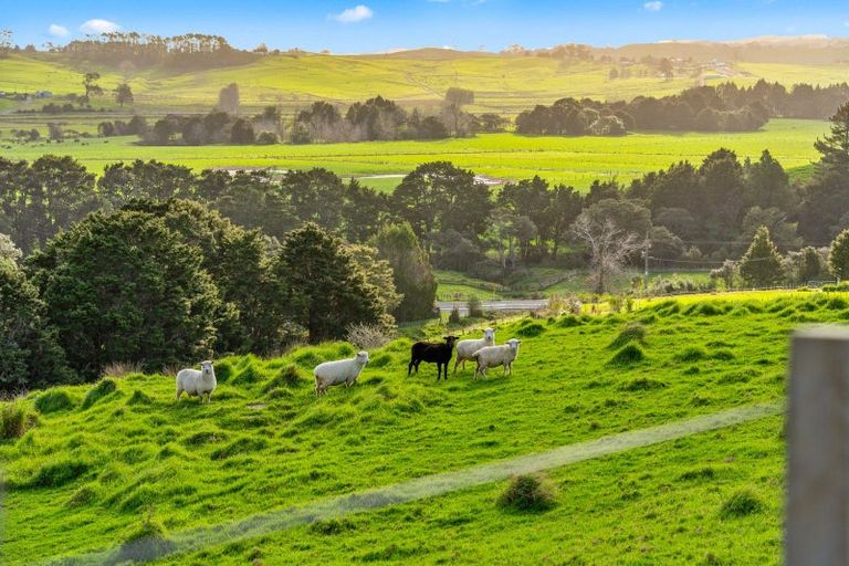 Photo of property in 484b Whangaripo Valley Road, Whangaripo, Wellsford, 0972