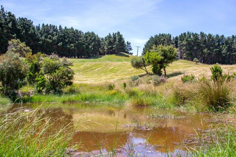 Photo of property in 3756 Western Lake Road, Ocean Beach, Featherston, 5773