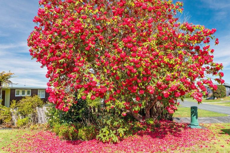 Photo of property in 7a Isobel Street, Acacia Bay, Taupo, 3330